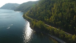 호수 트리 공원 · Pixabay의 무료 비디오 무료 비디오 - 호수, 트리, 공원, 자연, 그린, 풍경, 하모니, 반사, 잔디