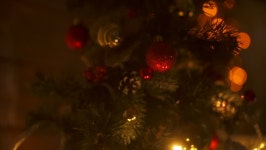 New Year 2019. New Year, 스톡 동영상 비디오(100% 로열티프리) 32785300 | Shutterstock