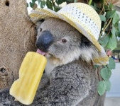 똥군이 (@DDONGKUN) — 38 answers | ASKfm 똥군이 (@DDONGKUN). Ask me anything on ASKfm