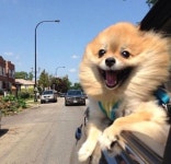 psчchíc_chíld (@mariam_farooq) — 117 answers, 19642 likes | ASKfm psчchíc_chíld (@mariam_farooq). Ask me anything on ASKfm