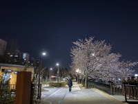 가격이 너무 착해서 두가지 색상사서 번갈아입고 있어요.편하면서 잘잡아주고 지 REVIEW - 안다르 가격이  너무 착해서  두가지  색상사서... 