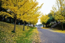 제주대학교 가는길