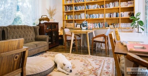 Sisters, come together! <Women-only guesthouses on Jeju>