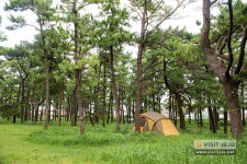 Enjoy a unique camping experience in Fantastic Jeju! Top 5 Jeju beach camping sites