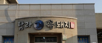 탐라흑돼지