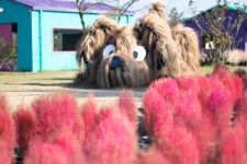 카페글렌코