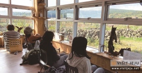 제주도의 숨겨진 재미를 찾는 <놀멍, 배우멍 제주마을체험 - 수련활동>