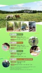 제주 마을에서 즐기는 힐링투어 <제주로 로캉스 떠나요 2020>