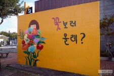 감귤향기 가득한 벽화마을 <신천리>