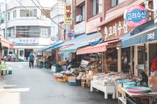 제주보성시장
