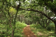 Our youth is just beginning now – (O)rganics Jeju travel story - ⑤