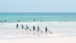 Visit Jeju : 찬란한 제주의 여름을 즐기는 법 <해안로드트립 동부편> 찬란한 제주의 여름을 즐기는 법 <해안로드트립 동부편>