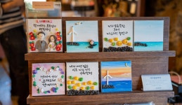 봄에도 즐기는 동백 <신흥2리 동백마을>