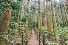 제주마을산책 <서귀포 로컬여행>