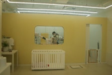 Visit Jeju : 슈몽슈몽 슈몽슈몽