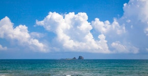 지구별 MBTI 여행자 <N 직관형의 아주 사적인 제주 여행!>