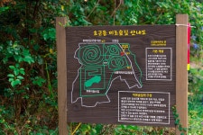 가을을 담다 <서귀포 마을산책, 대륜동> 가을을 담다  <서귀포 마을산책, 대륜동> 