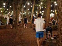 올레캠프 본점 알파캠프