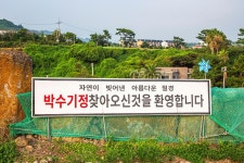 박수기정