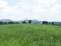 쉼표가 필요한 당신에게 <오롯이 나에게 집중하는 힐링코스>