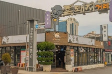 2025 놓치지 말아야 할 ‘봄’ 제주관광 <SPRING IN JEJU: TRAVEL YOUR WAY-제주의 봄, 당신의 취향을 담다>