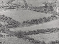 Manuel Álvarez Bravo | National Gallery of Art Manuel Álvarez Bravo