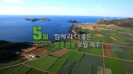 Visit Jeju : 2019년 5월 놓치지 말아야 할 제주 관광 10선  2019년 5월 놓치지 말아야 할 제주... 