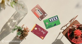 카드고릴라 : 내 신용카드 유효기간 지금 바로 확인해야 하는 이유 카드유효기간 꼭 확인해야 하는 이유 | 카드고릴라