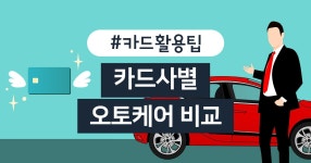 카드고릴라 : 카드사 6곳 월정액 ‘오토케어’ 서비스 비교 카드사 6곳 월정액 ‘오토케어’ 서비스 비교 | 카드고릴라