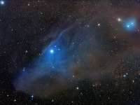 APOD: 2006 August 8 - Horse Head Shaped Reflection Nebula IC 4592