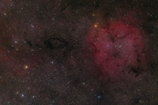 APOD: 2009 August 19 - IC 1396 and Surrounding Starfield