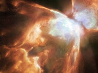 APOD: 2007 April 29 - NGC 6302: Big, Bright, Bug Nebula