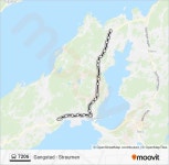 7206 Route: Schedules, Stops & Maps - Gangstadkorsen (Updated)