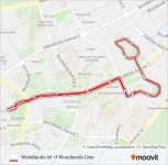 904 Route: Schedules, Stops & Maps - Woodlands Int (Updated)