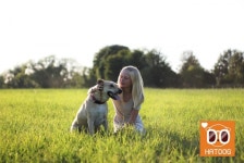 하트독, 견주도 강아지도 모두 즐거운 애견친화 펜션 추천 : - 헝그리앱 하트독, 견주도 강아지도 모두 즐거운 애견친화 펜션 추천 :  - 헝그리앱