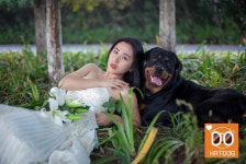 하트독, 인스타 감성 자극하는 제주 댕댕이 카페 : - 헝그리앱 하트독, 인스타 감성 자극하는 제주 댕댕이 카페 :  - 헝그리앱