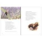 애플비북스 [애플비북스] 비 오는 날 춤추는 달팽이(자연과학동화)