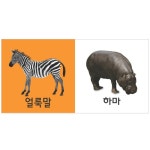 애플비북스 [애플비북스] 동물은 내친구-폭신폭신 아기사진책