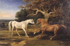 LAmour de Cheval, 1827 - James Ward - WikiArt.org LAmour de Cheval, 1827 - James Ward