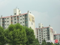 [부동산114] [아파트] 우성1차 2동 전세 희망가격 80,000만원