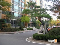 [부동산114] [아파트] 가양2단지성지 205동 월세 희망가격 15,000/33만원
