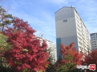 [부동산114] [아파트] 화곡푸르지오 114동 매매 희망가격 165,000만원