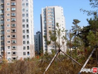 [부동산114] [아파트] 등촌동아이파크 101동 전세 희망가격 50,000만원