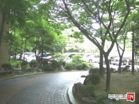 [부동산114] [아파트] 현대6단지 603동 전세 희망가격 60,000만원