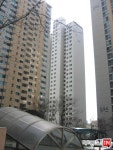 [부동산114] [아파트] 신도림대림1차(e편한세상) 501동 전세 희망가격 55,000만원