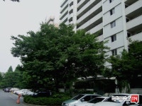 [부동산114] [아파트] 주공1차 108동 매매 희망가격 90,000만원