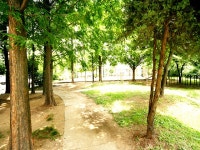 [부동산114] [아파트] 주공1차 102동 전세 희망가격 30,000만원