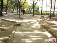 [부동산114] [아파트] 상계주공9단지 917동 월세 희망가격 1,000/70만원