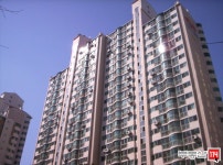 [부동산114] [아파트] 양지대림1차 103동 월세 희망가격 10,000/190만원