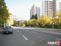 [부동산114] [아파트] 상계주공9단지 917동 월세 희망가격 1,000/70만원